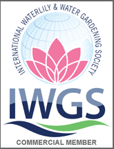 IWGS Commercial Member