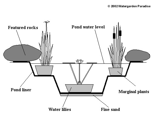 Garden pond diagram